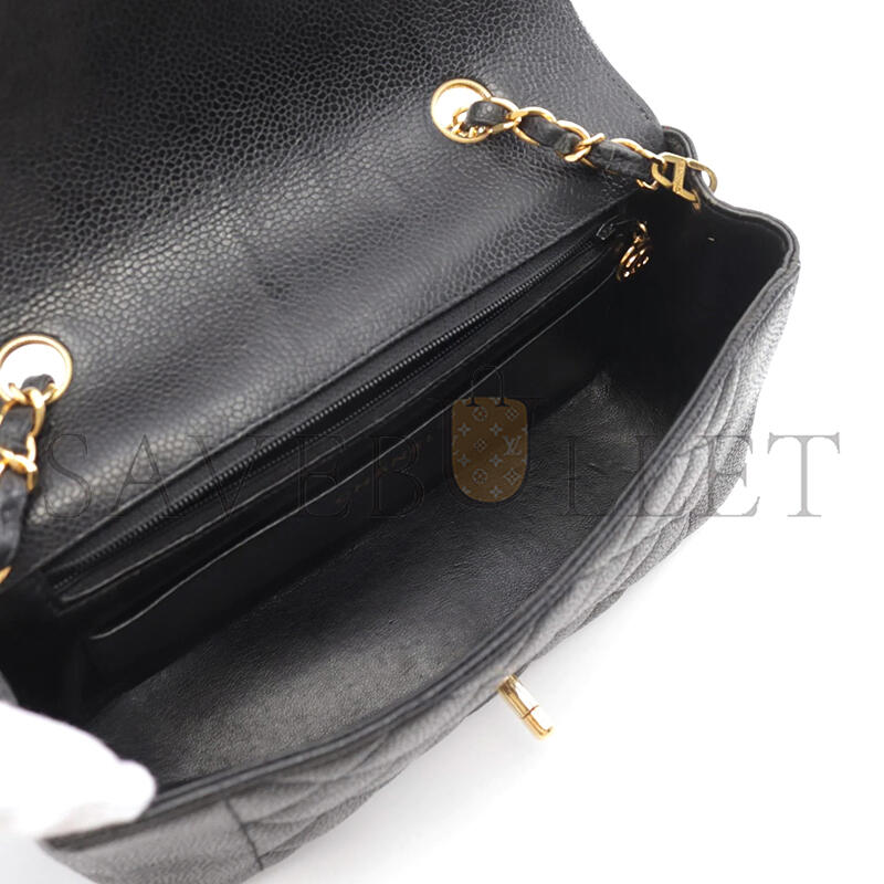 CHANEL CAVIAR SMALL DIANA FLAP BAG 210121 (22*14*7cm)